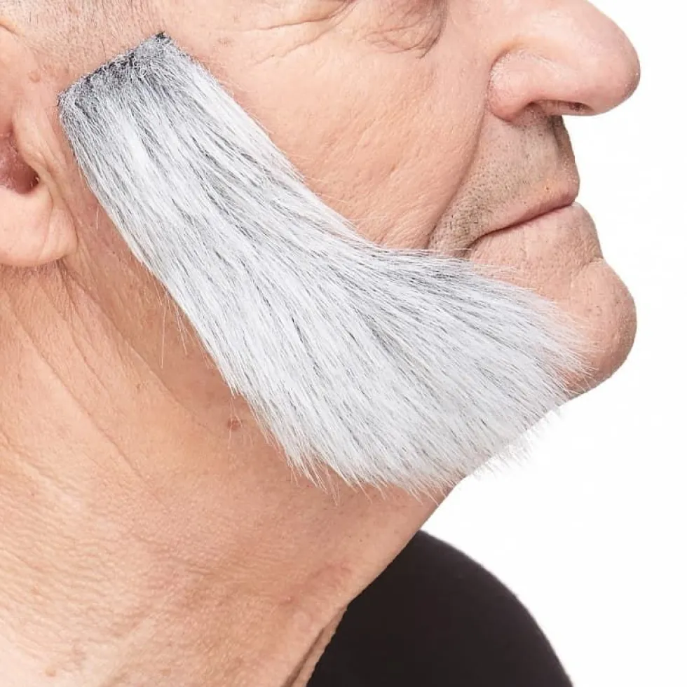 Grått Kinnskjegg