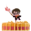 Harry Potter Kakelys, Harry Potter