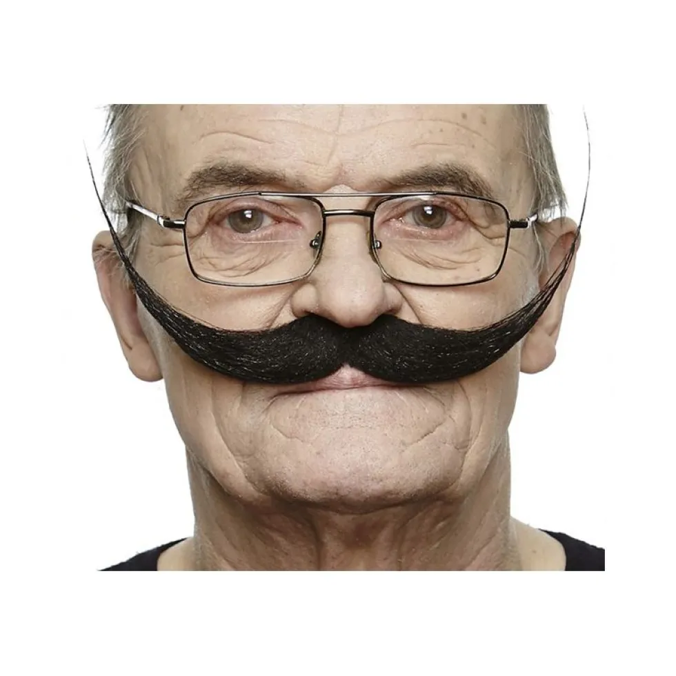 Salvador Dali Bart