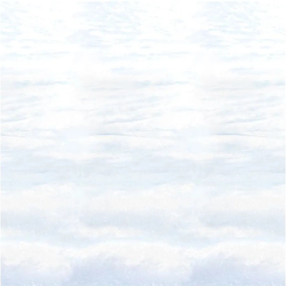 Veggdekorasjon, Snowscape